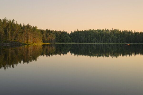 Lac carré à la frontière d une forêt dense