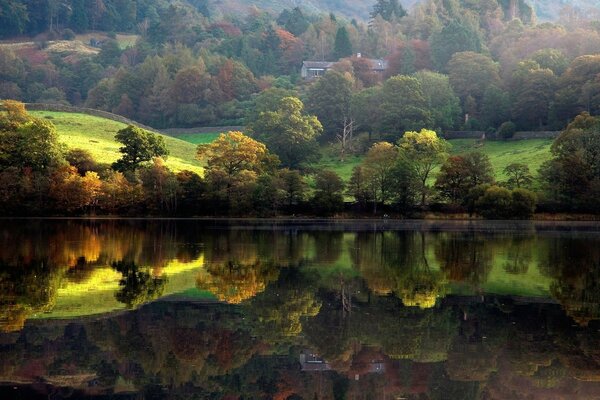 Отражение деревьев в озере на фон