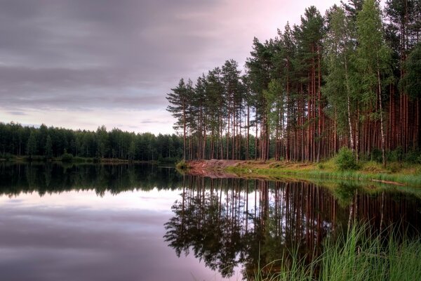 A floresta é refletida nas águas límpidas do lago