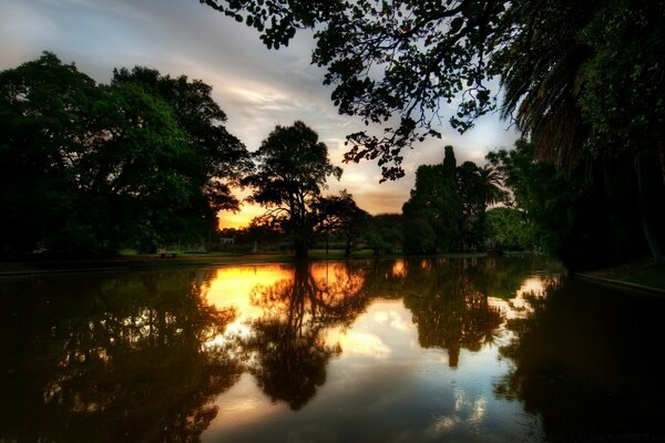 The evening lake is decorated with trees