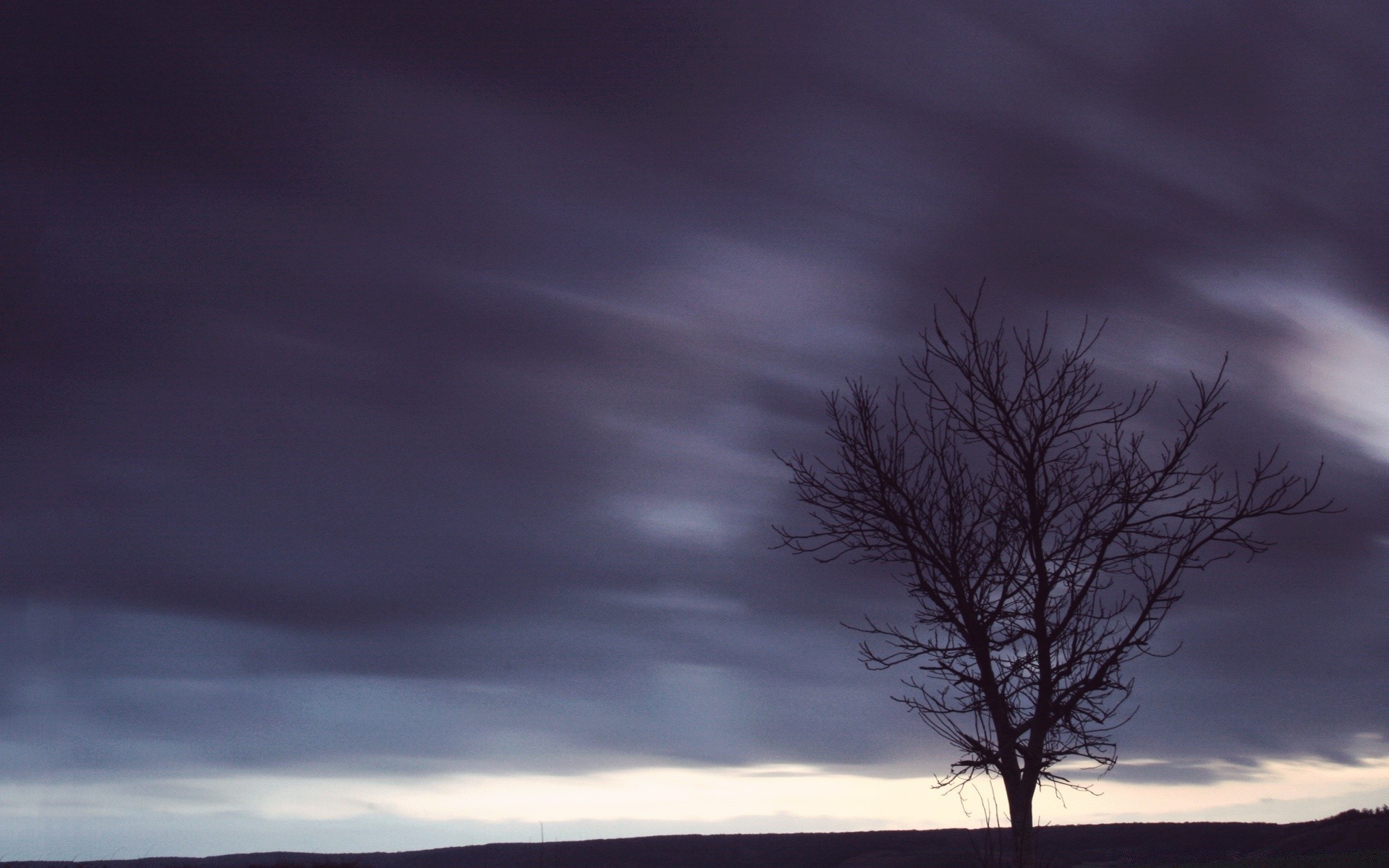 the sky sunset sun landscape dawn nature sky silhouette evening tree fog backlit storm dark light