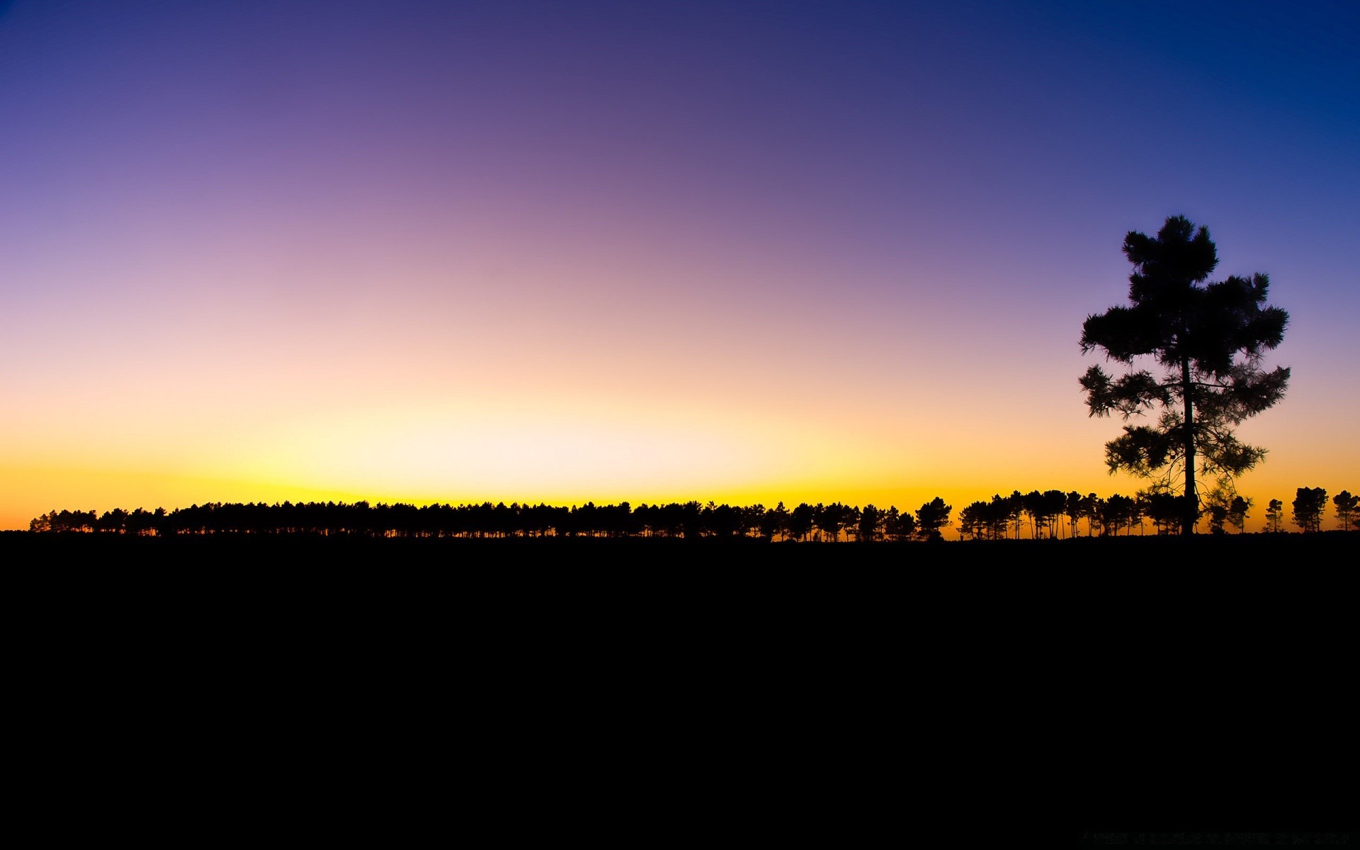 cielo puesta de sol amanecer paisaje sol cielo silueta naturaleza noche crepúsculo luz árbol iluminado color niebla buen tiempo horizonte