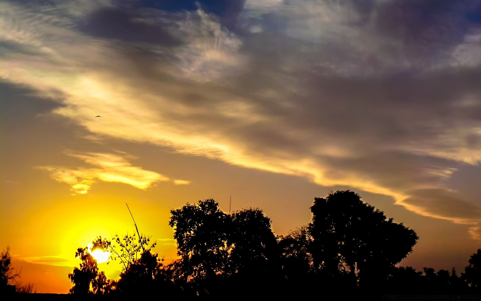 ciel coucher de soleil soleil aube ciel soir nature crépuscule rétro-éclairé à l extérieur silhouette beau temps paysage été arbre