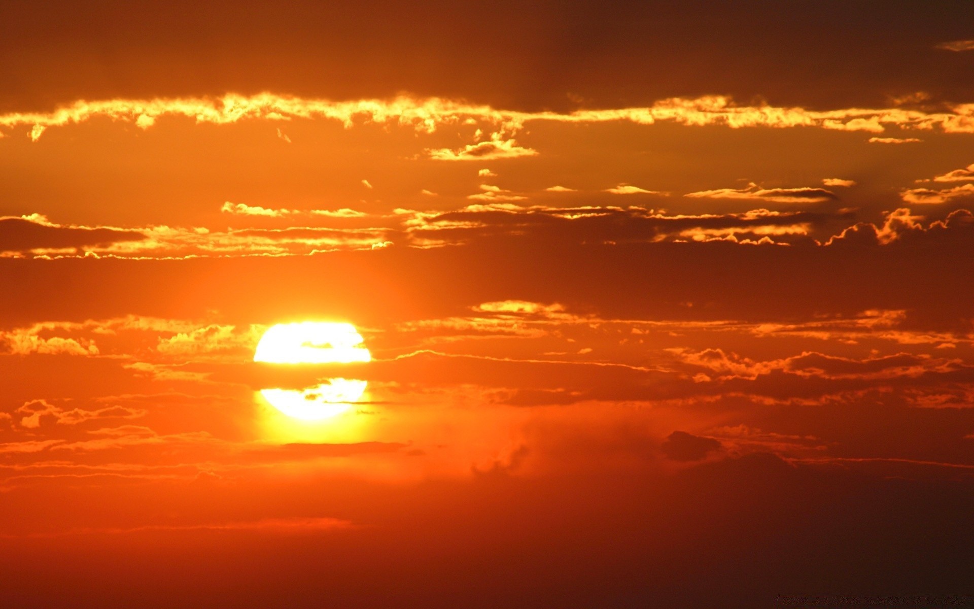 天空 日落 日出 太阳 晚上 黄昏 天空 好天气 剪影 光 背光 自然 户外 景观