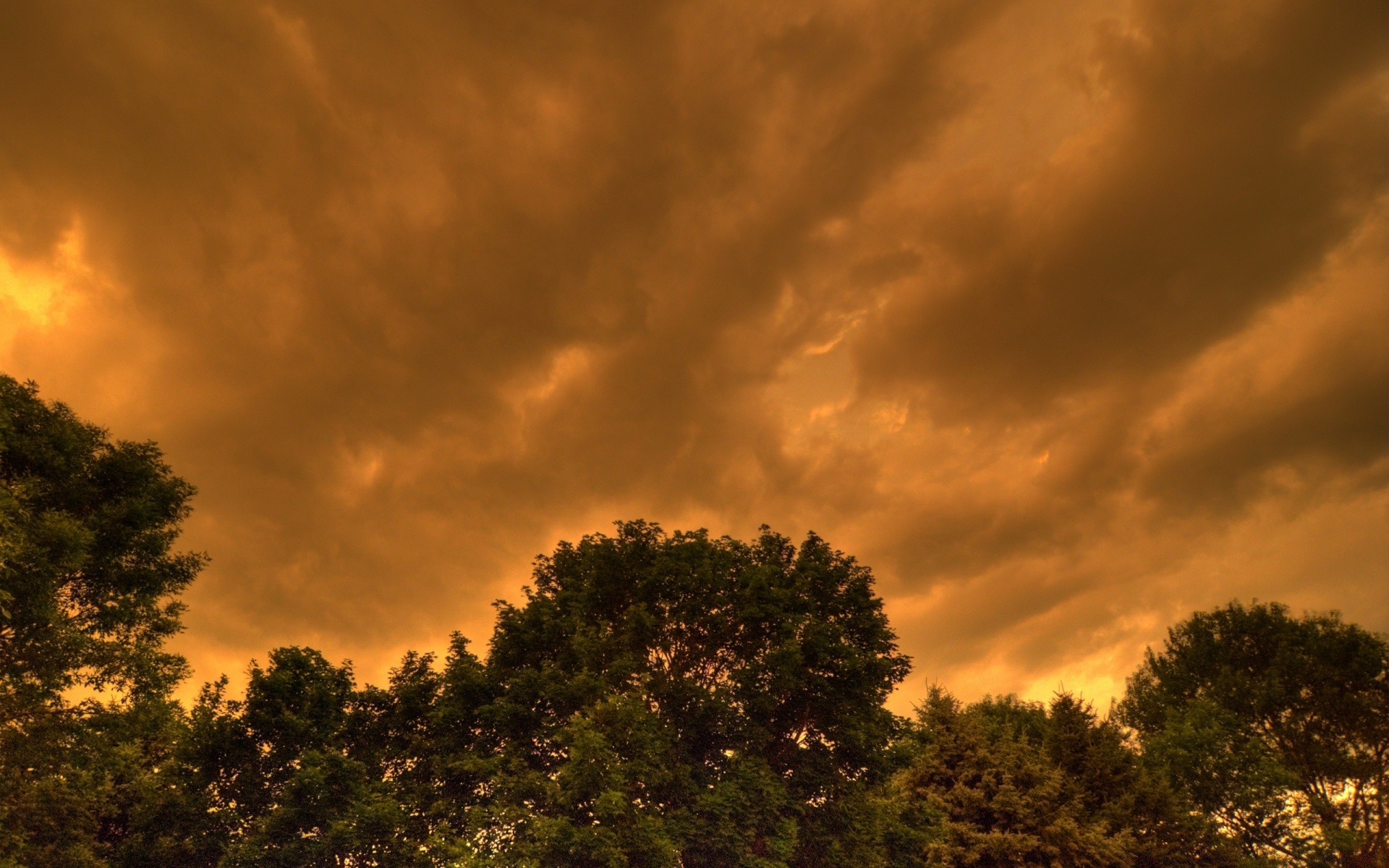 cielo tramonto cielo alba natura sole crepuscolo sera all aperto illuminato paesaggio albero bel tempo silhouette tempesta scuro luce del giorno drammatico