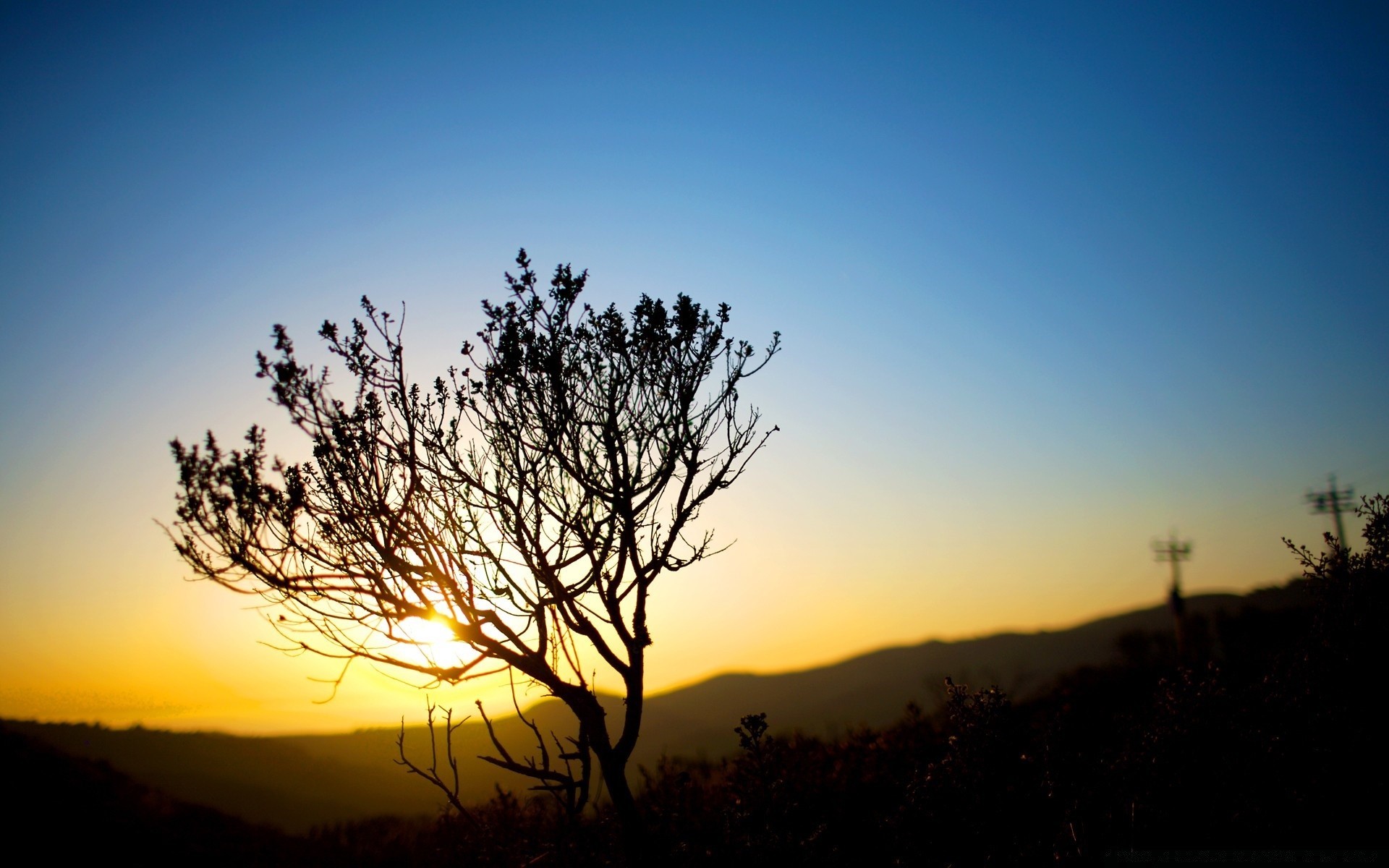 cielo tramonto alba sole silhouette cielo sera crepuscolo paesaggio natura illuminato albero luna luce nebbia bel tempo all aperto autunno nebbia