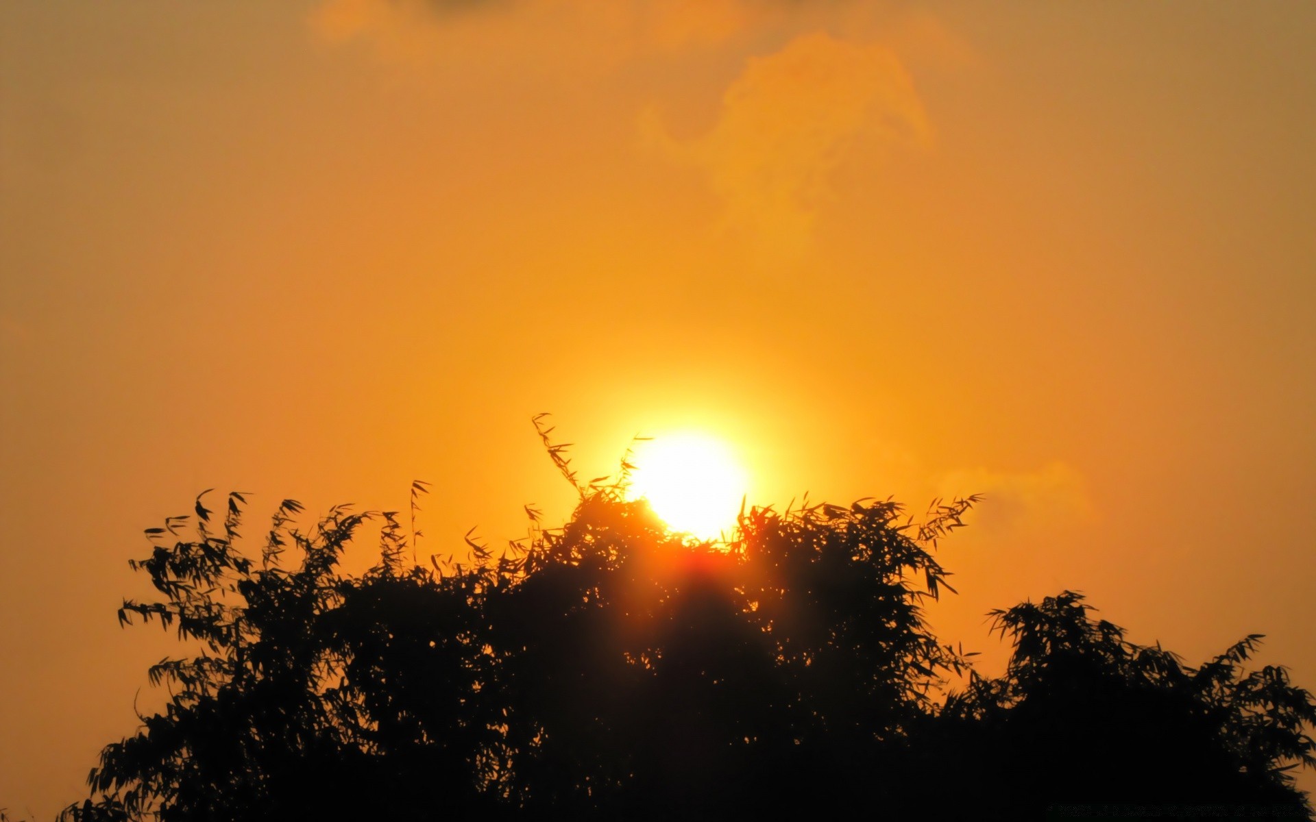 céu pôr do sol amanhecer silhueta sol iluminado noite paisagem céu crepúsculo luz natureza névoa árvore tempo bom tempo névoa