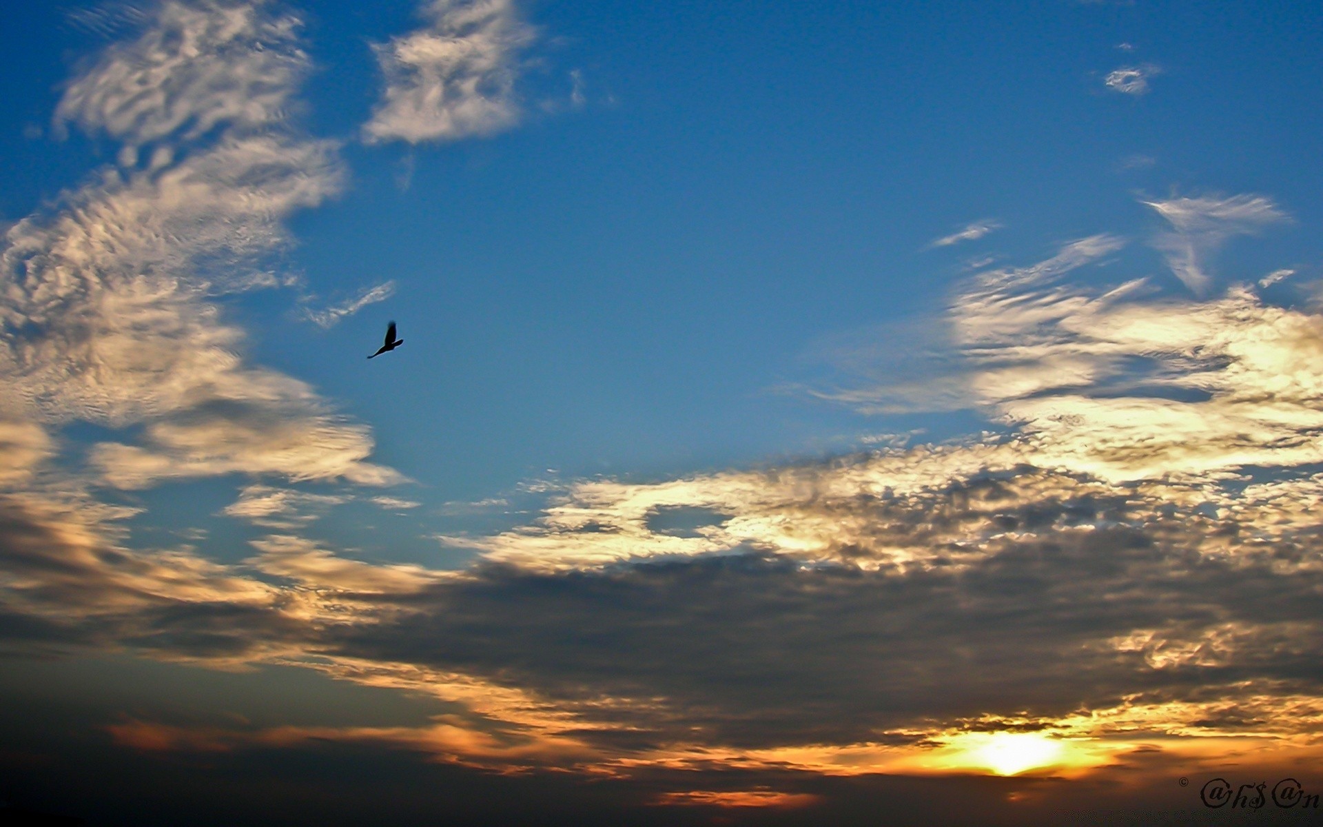 cielo tramonto cielo sole sera all aperto alba crepuscolo natura bel tempo luce silhouette luce del giorno drammatico paesaggio tempo cielo estate