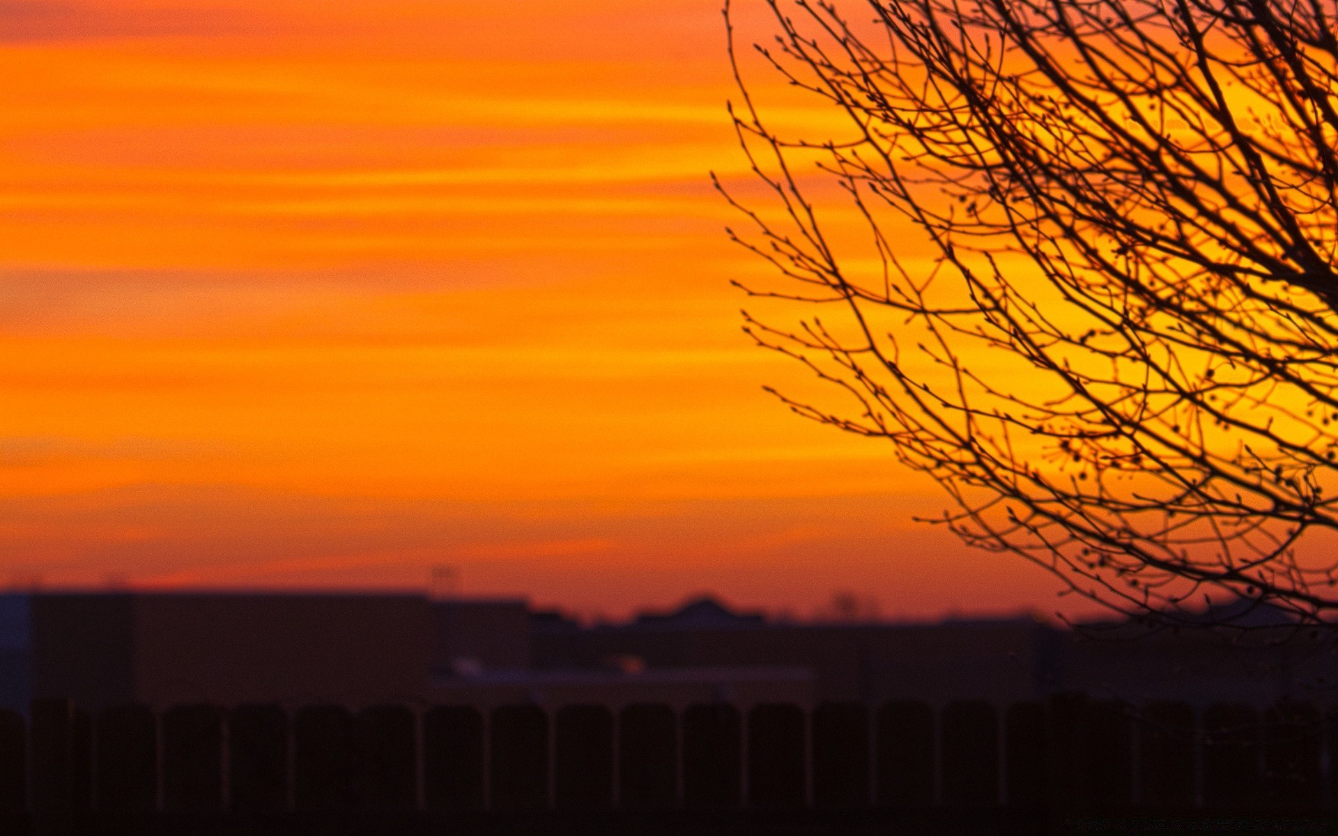 ciel coucher de soleil soir aube rétro-éclairé silhouette lumière à l extérieur arbre crépuscule paysage ciel soleil nature