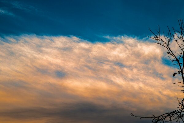 Pink sunset and blue sky