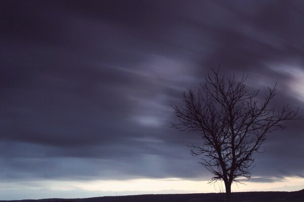 Ein einsamer Baum und ein dunkler Himmel