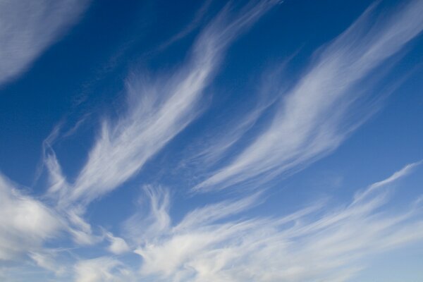 Gefiederte Wolken am Himmel