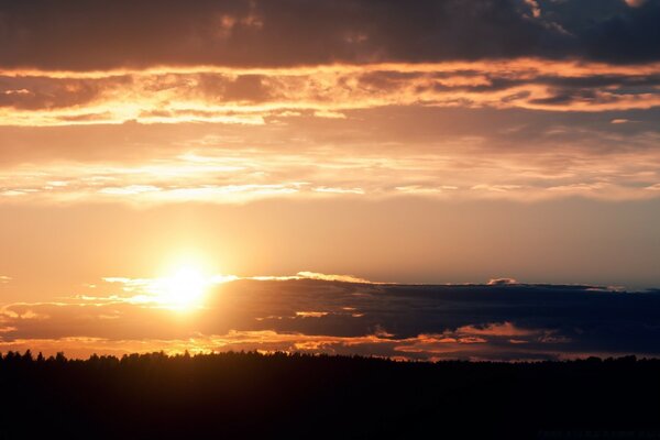 Beau coucher de soleil et ciel rose