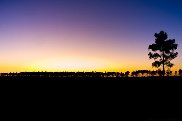 Amanhecer no horizonte sonolento