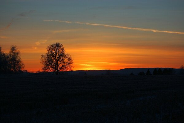 Natur bei Sonnenuntergang des Tages