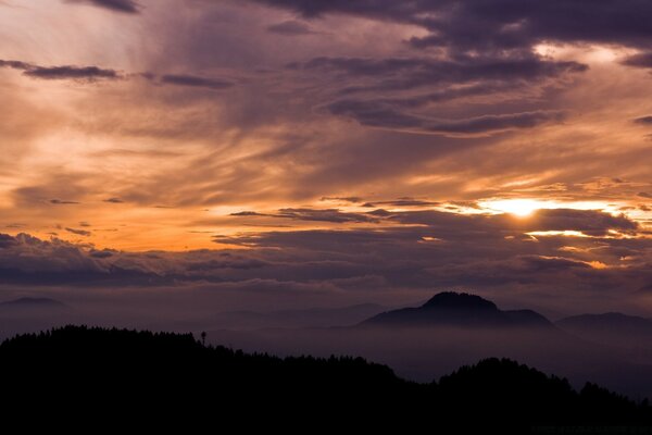 Beautiful fog in the mountains in nature