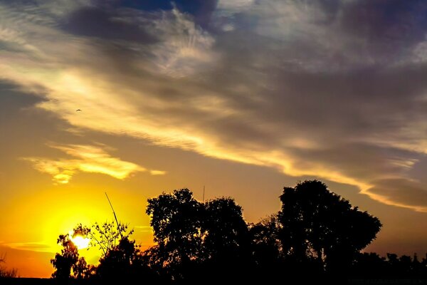 Hermoso paisaje de puesta de sol de verano