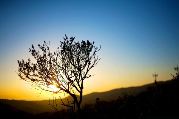 Sunset in golden rays