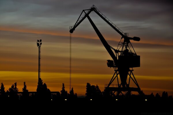 Kräne bei Sonnenuntergang im Sommer