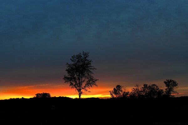 Schöner Sonnenuntergang. Die Sonne ging über den Horizont hinaus