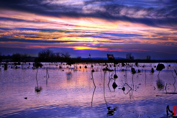 Lago al atardecer