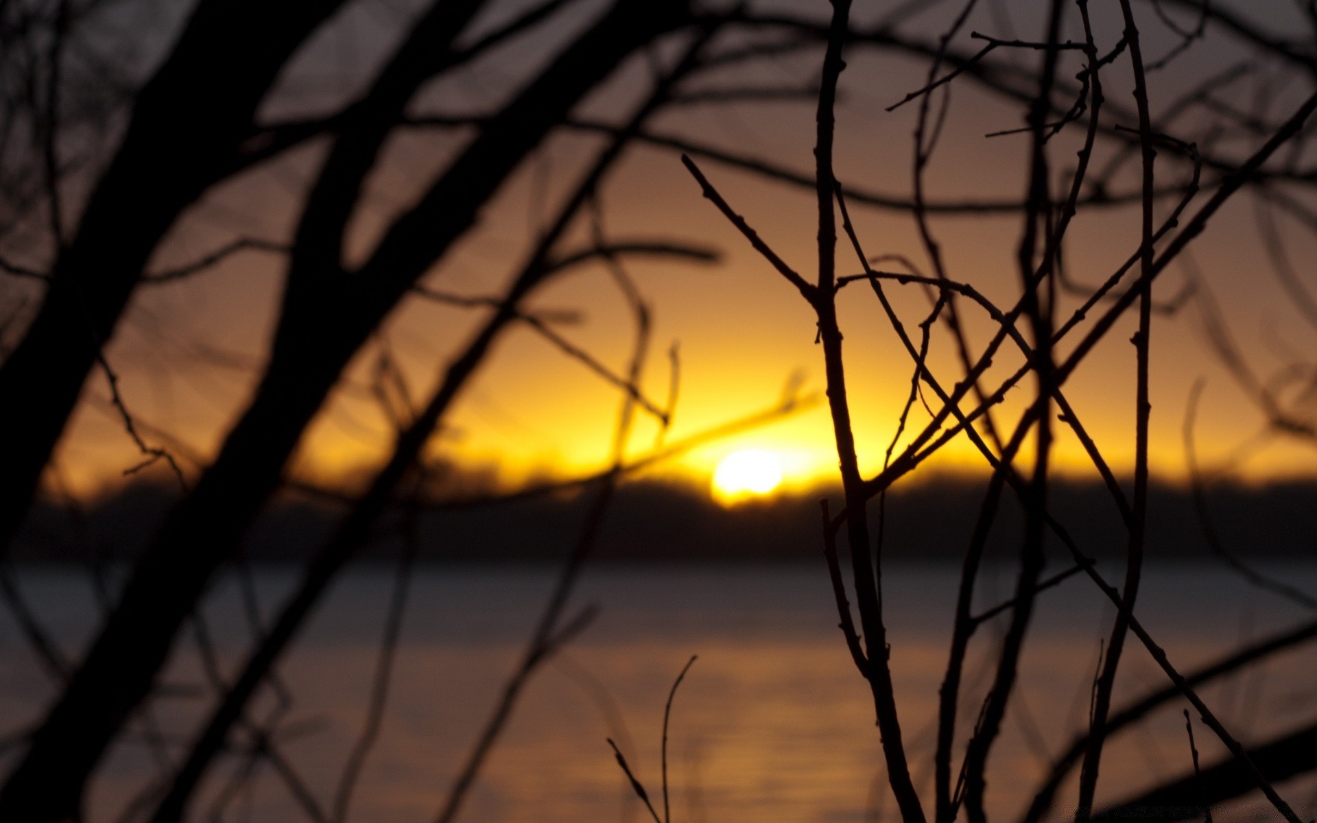 céu pôr do sol amanhecer sol natureza árvore luz silhueta paisagem céu noite madeira iluminado crepúsculo outono ao ar livre bom tempo escuro inverno