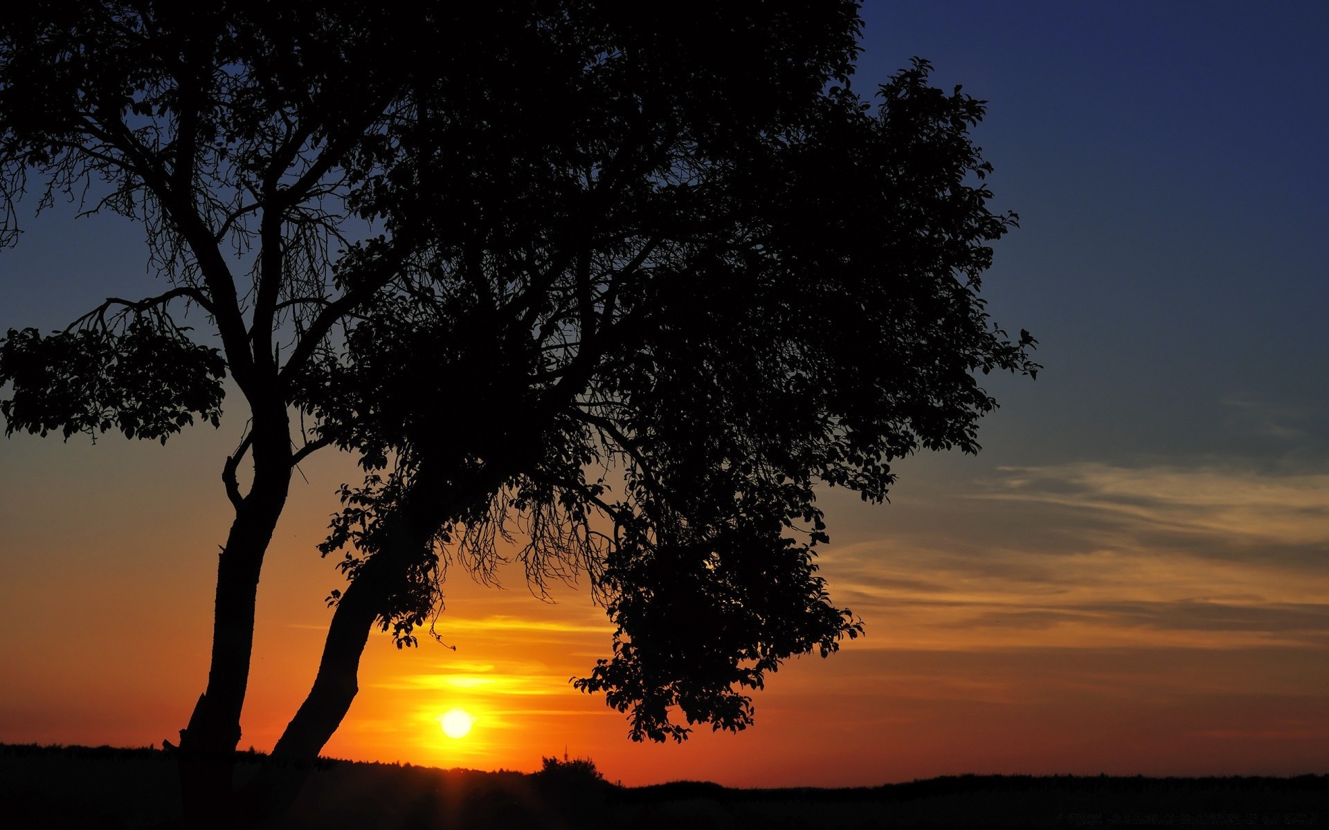 ciel coucher de soleil aube silhouette rétro-éclairé arbre soleil soir crépuscule paysage nature ciel dehors solitude beau temps