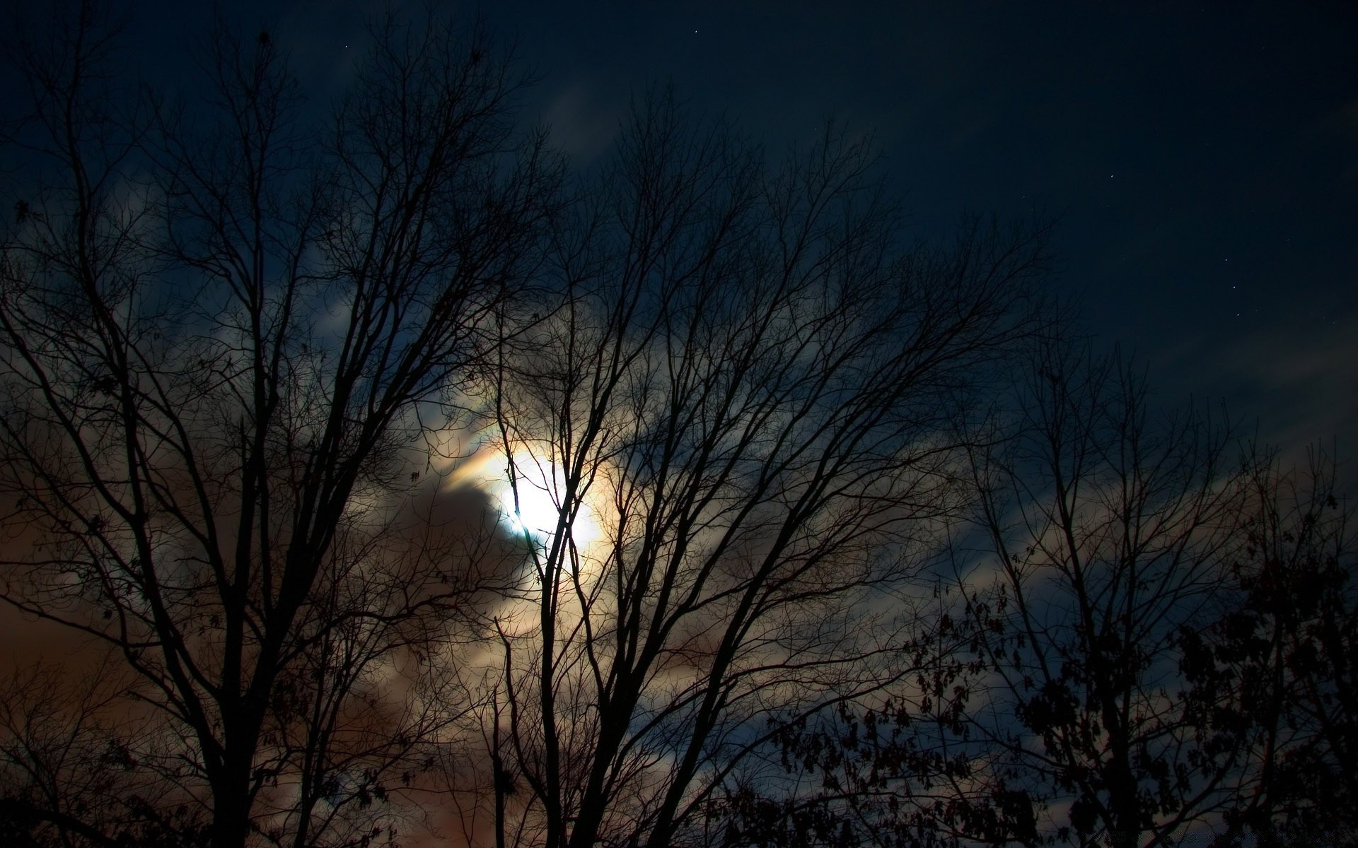 the sky dawn tree landscape nature sunset fall winter wood fog sun silhouette light weather snow mist dark cold outdoors sky