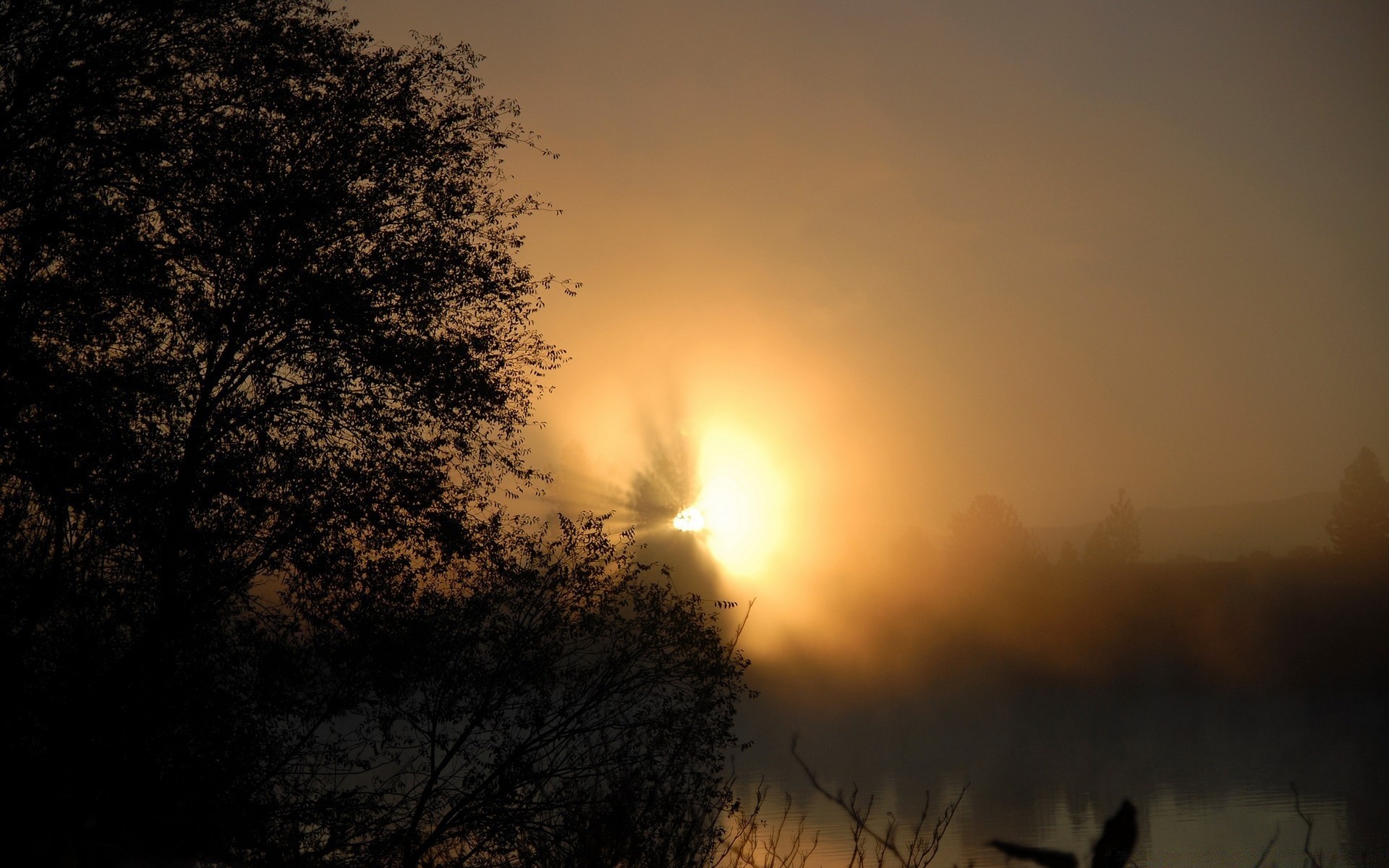 cielo alba tramonto sole paesaggio nebbia silhouette albero natura cielo nebbia sera bel tempo illuminato luce luna tempo crepuscolo inverno all aperto