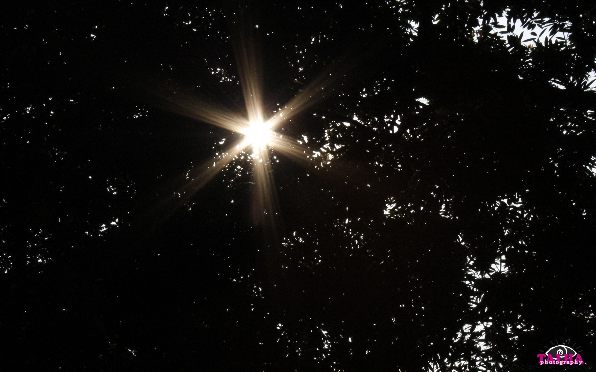 cielo astronomía oscuro brillante brilla navidad espacio brillante luna iluminado brillo sol diseño gráfico