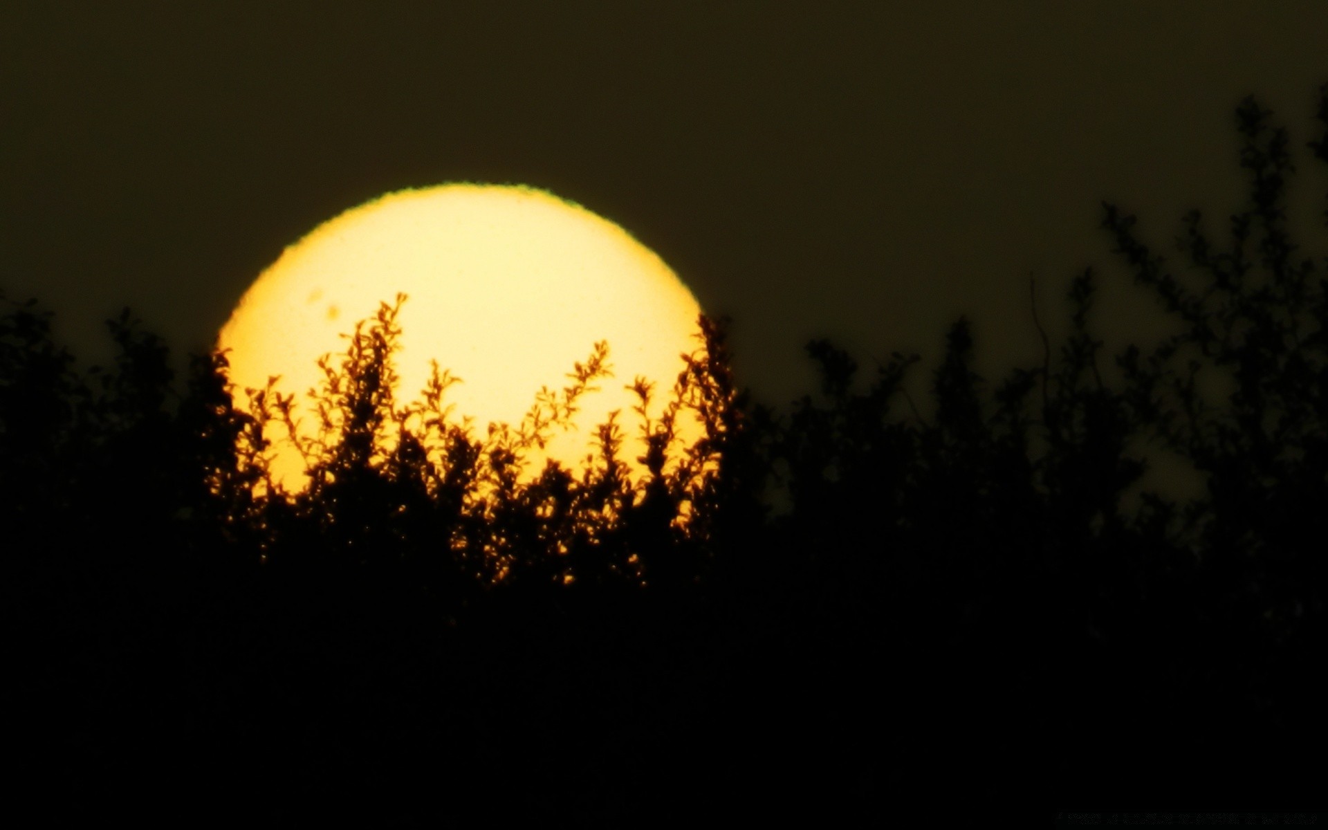 ciel lune soleil coucher de soleil nature ciel lumière paysage silhouette aube sombre arbre hiver soir crépuscule brouillard automne à l extérieur