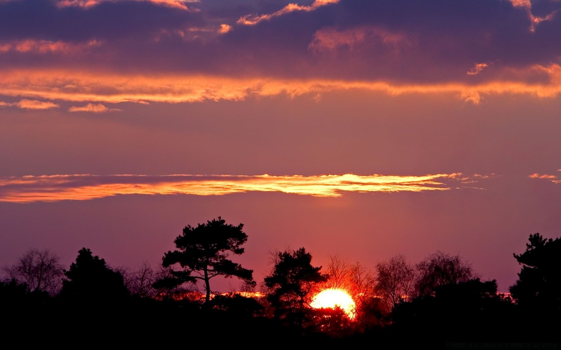 cielo tramonto alba sole sera silhouette illuminato crepuscolo cielo paesaggio bel tempo natura luce all aperto