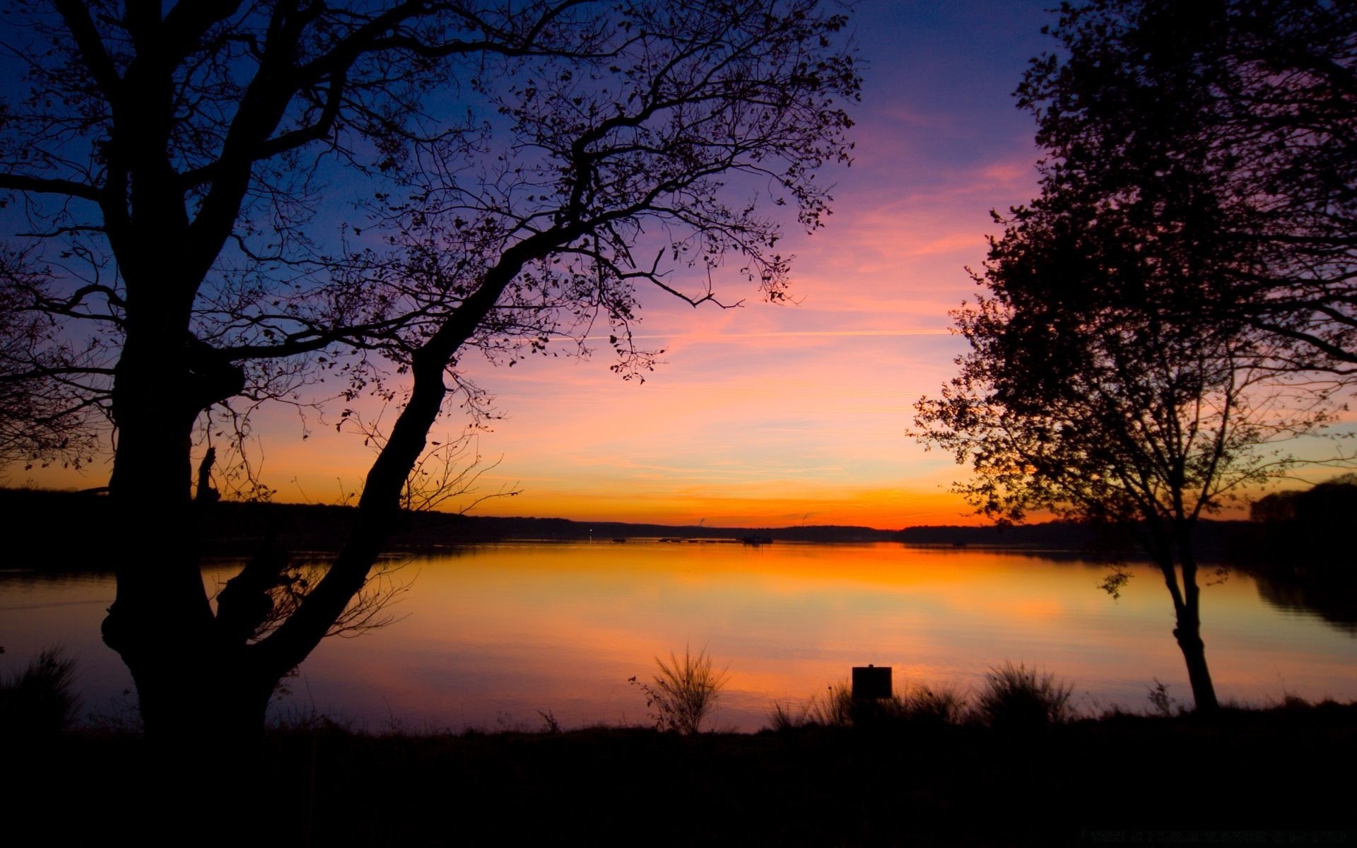 céu árvore amanhecer pôr do sol paisagem noite iluminado crepúsculo outono silhueta sol natureza céu ao ar livre luz cênica