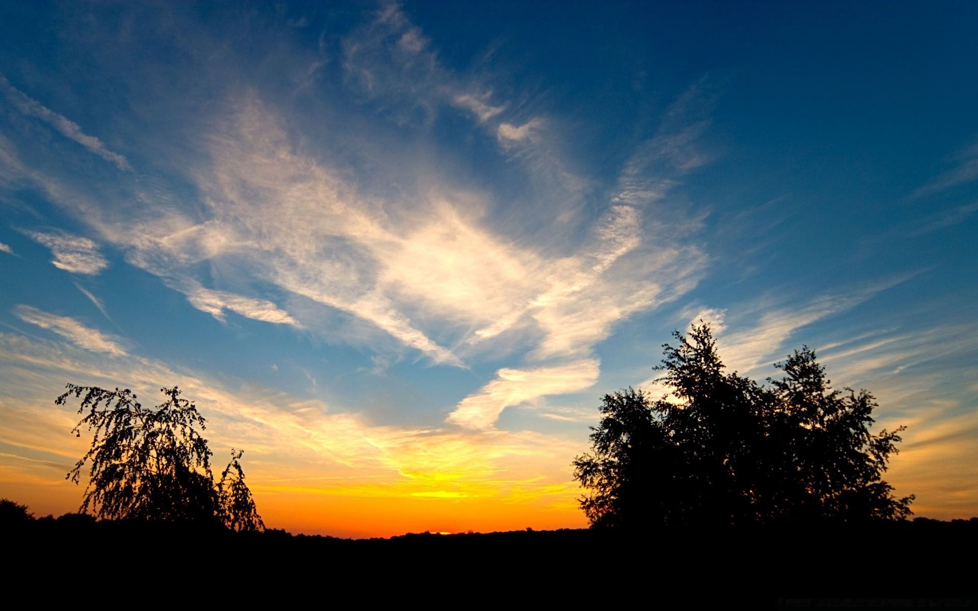 céu pôr do sol amanhecer sol céu natureza noite bom tempo crepúsculo árvore paisagem ao ar livre silhueta retroiluminado