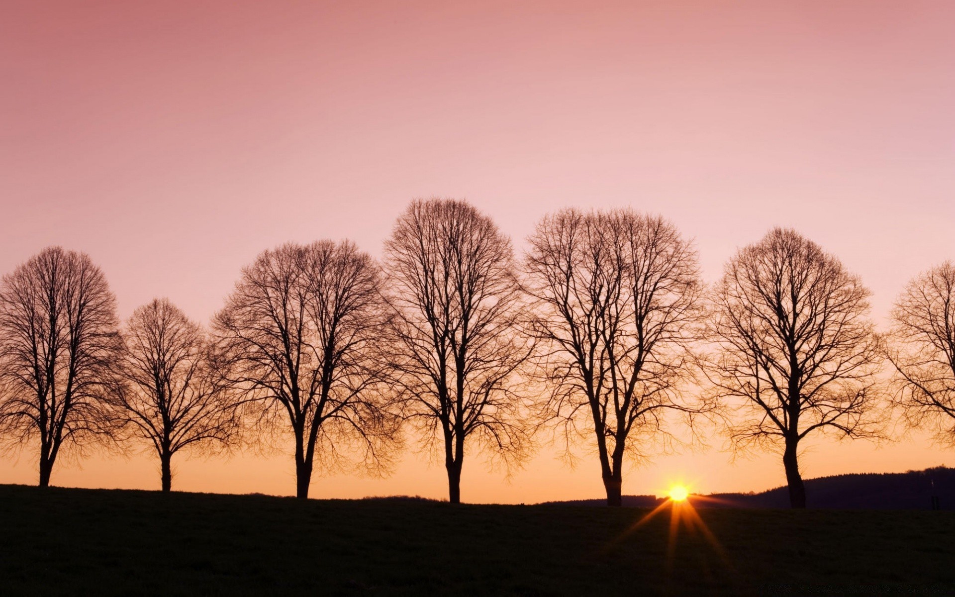 the sky landscape dawn sunset tree sun fog nature backlit silhouette sky fair weather fall light evening mist outdoors alone weather