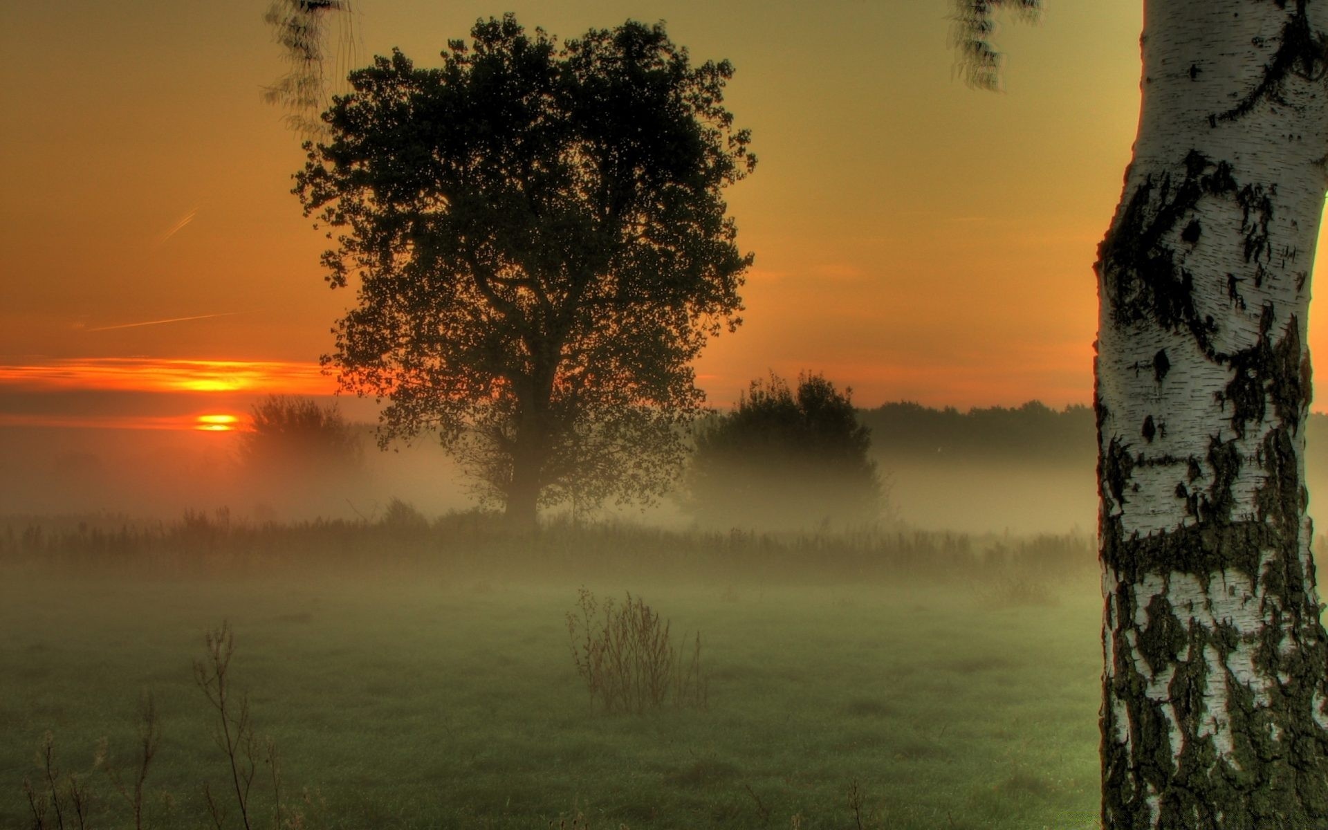 ciel aube coucher de soleil soleil paysage arbre brouillard nature brouillard beau temps soir eau lac ciel extérieur rétro-éclairé crépuscule été lumière