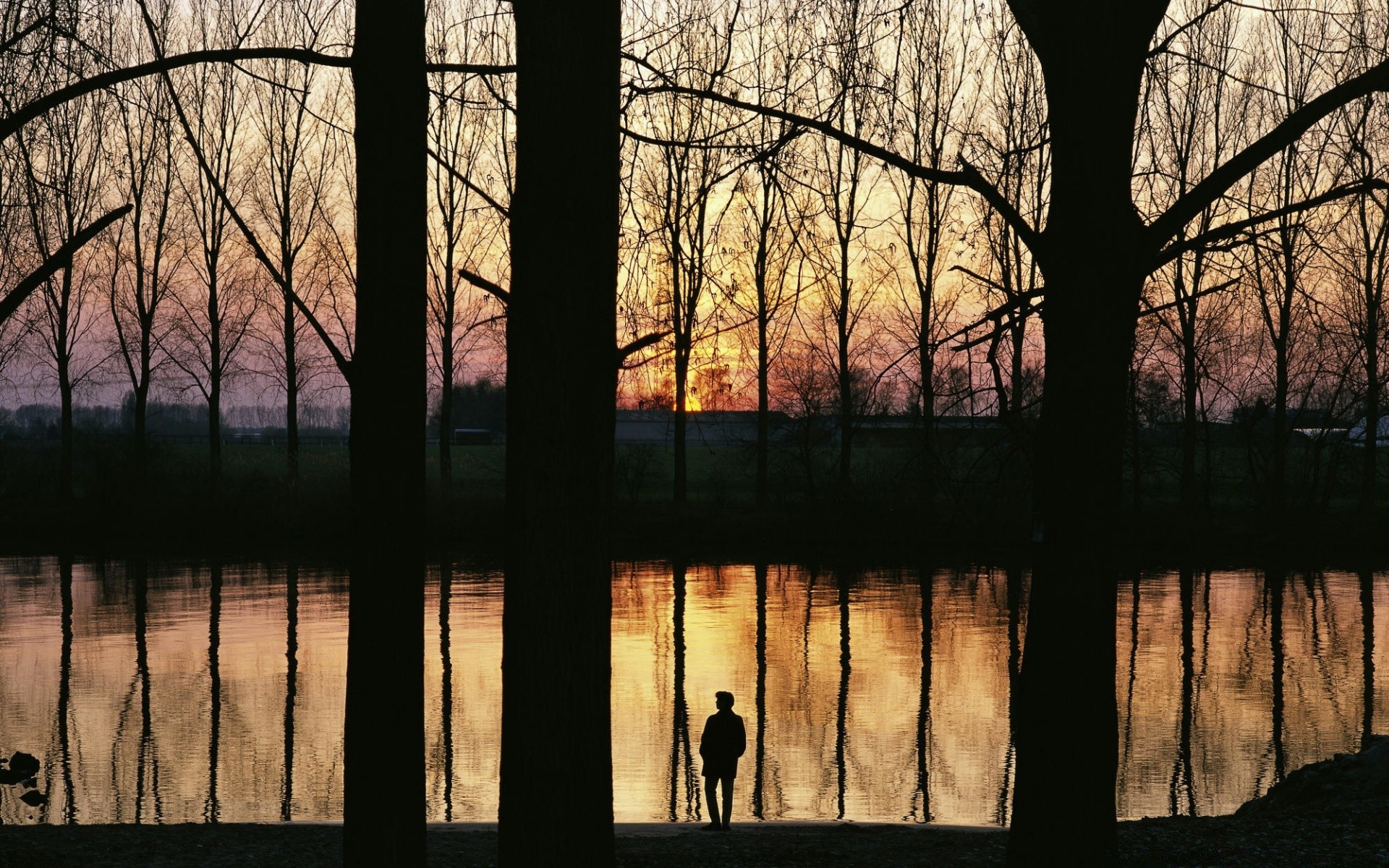 himmel reflexion holz holz natur schatten dämmerung see dunkel herbst licht silhouette landschaft wasser park desktop