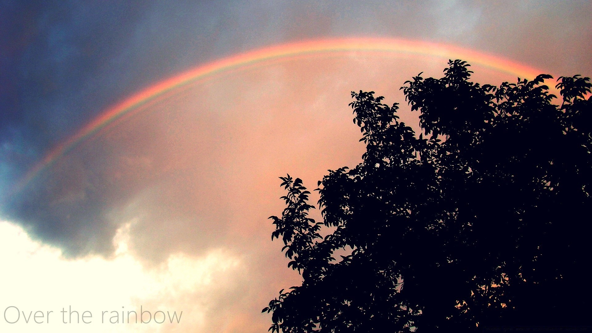 the sky sky rainbow weather landscape tree nature sun outdoors sunset daylight evening moon scenic light dawn silhouette