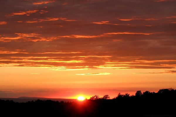 Puesta de sol roja sangrienta sobre las copas de los árboles