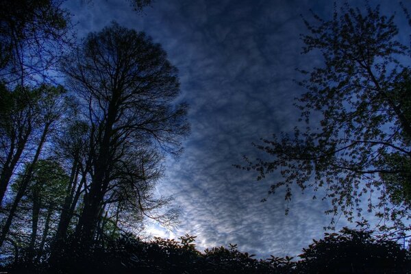 Grauer Himmel mit ehrfürchtigen Tagen