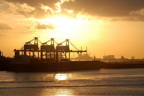 Sunset highlights the port cranes