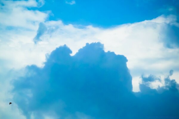 Summer sky with clouds