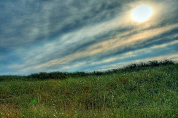 Sonne am Himmel auf Feldhintergrund