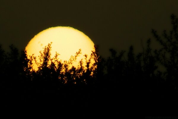 Belo pôr-do-sol. A natureza adormece