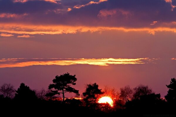 Soleil du soir à l horizon