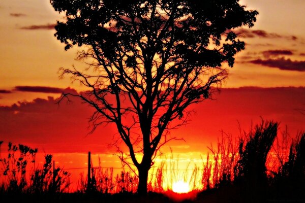 El cielo al amanecer recuerda al rojo vivo de África