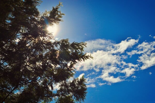 Ciel clair et paisible. Nuages