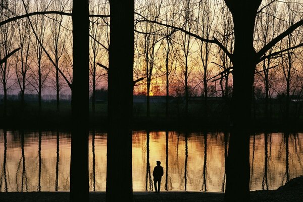 A man on the background of water and a row of trees