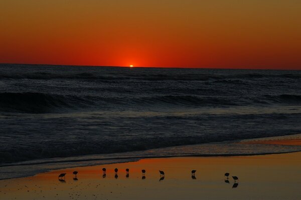 Roter Sonnenuntergang und grenzenloses Meer