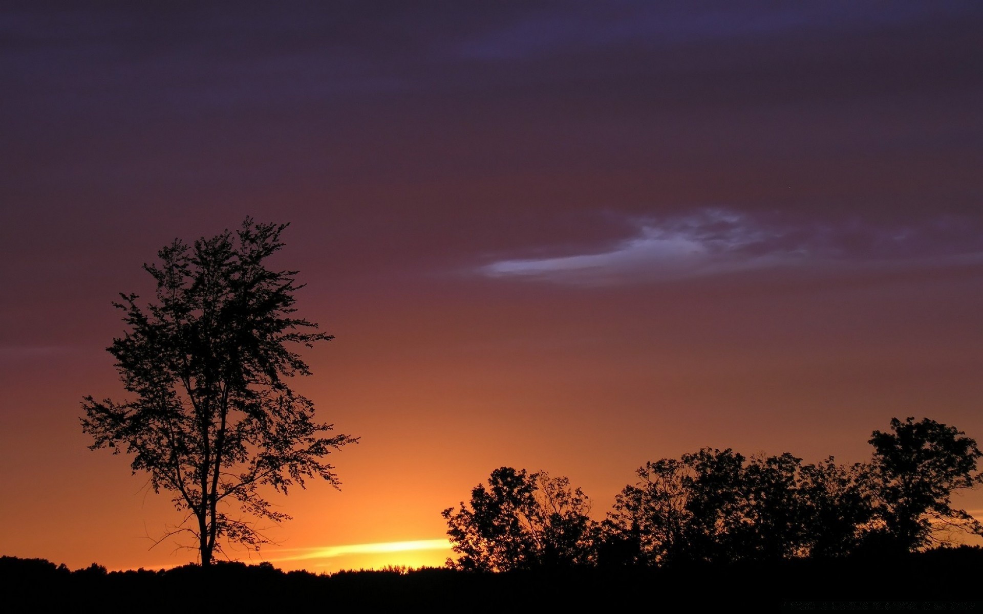 cielo tramonto alba sera silhouette cielo crepuscolo sole natura illuminato all aperto paesaggio albero bel tempo muffa